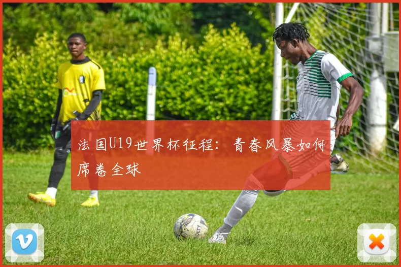 法国U19世界杯征程：青春风暴如何席卷全球