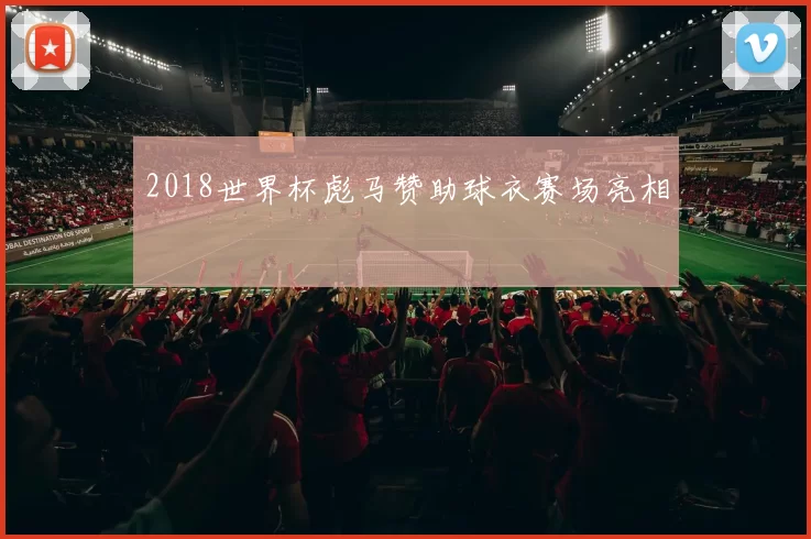 2018世界杯彪马赞助球衣赛场亮相