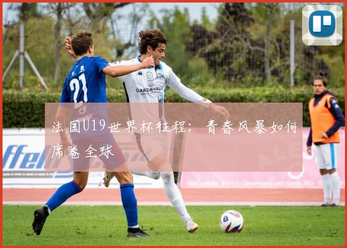 法国U19世界杯征程：青春风暴如何席卷全球