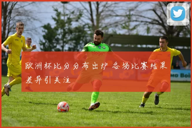 欧洲杯比分分布出炉 各场比赛结果差异引关注