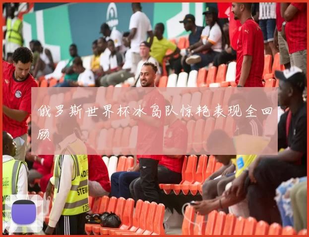 俄罗斯世界杯冰岛队惊艳表现全回顾