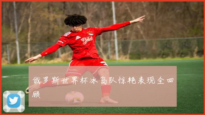 俄罗斯世界杯冰岛队惊艳表现全回顾
