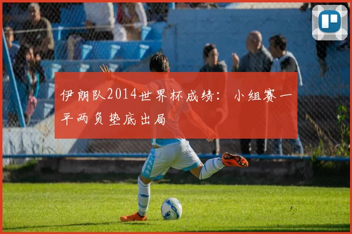 伊朗队2014世界杯成绩：小组赛一平两负垫底出局